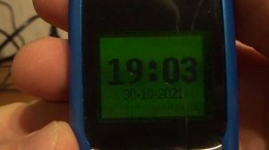 Nokia 2310 with monochrome display