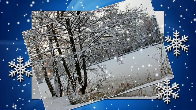 Прогулка в  ноябрьский день  2016г