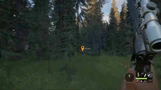 Баг на Животных The Hunter Call of The Wild. Долина Юкона смотреть онлайн
