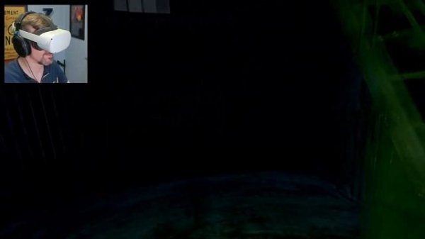 DayZ VR - Oculus Quest 2 / Link / Virtual Desktop / NVIDIA Surround