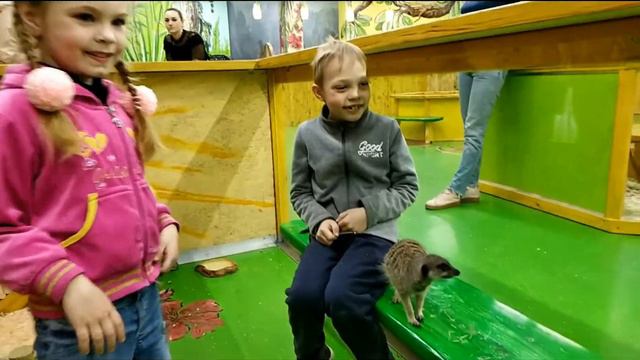 #Топ-5 экзотических животных которых можно потрогать/Контактный зоопарк смотреть онлайн