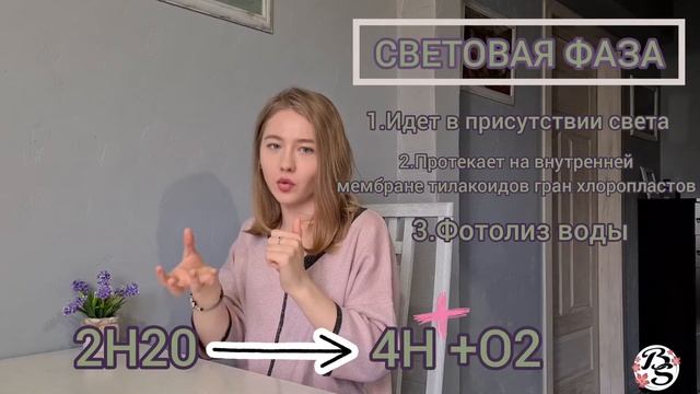 ФОТОСИНТЕЗ ЗА 4 МИНУТЫ||СВЕТОВАЯ/ТЕМНОВАЯ ФАЗЫ смотреть онлайн