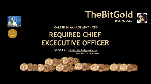 BitGold - A community-owned project that relies on investors and direct purchases of Digital Gold. смотреть онлайн