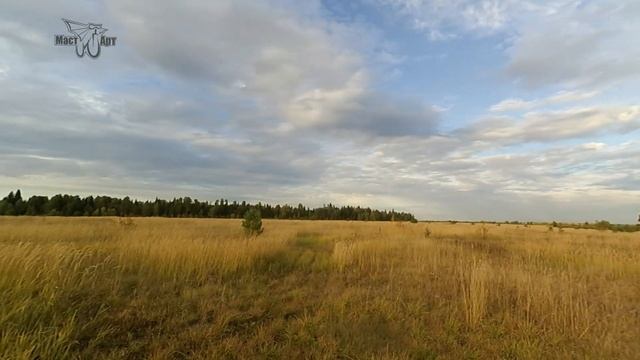 Учу летать авиамодель Ягуар, а он учит меня пилотированию. Learn to fly model aircraft Jaguar смотреть онлайн