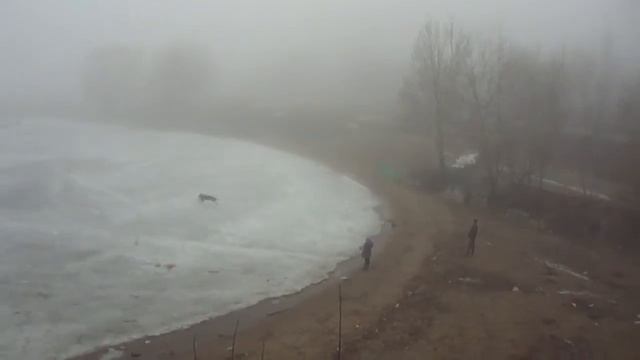 почему важно проводить выходные с семьей смотреть онлайн