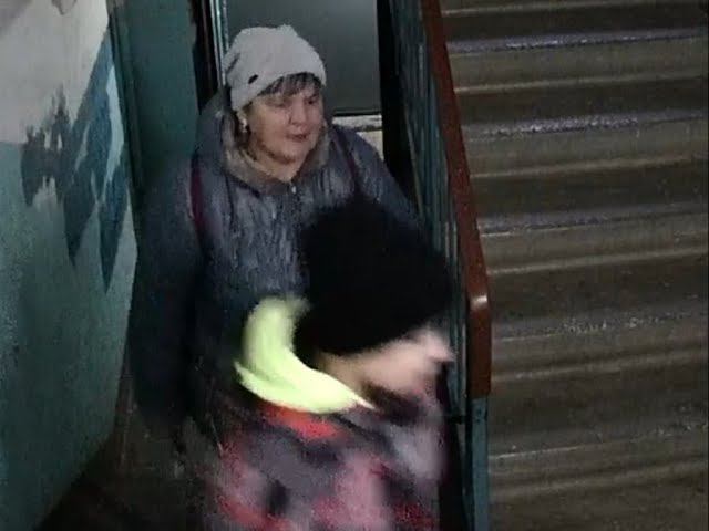 Крохалевские свиньи. смотреть онлайн