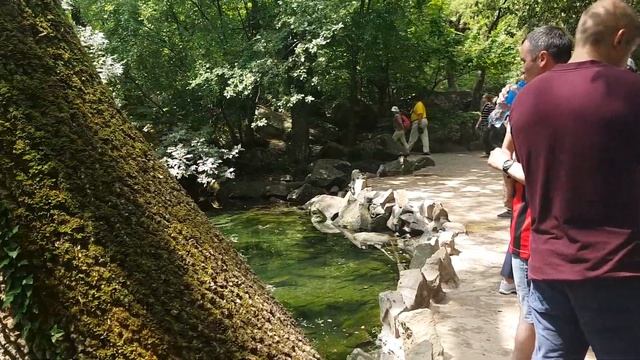 Крым. Воронцовский парк 2019 смотреть онлайн