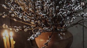 В субботу накануне Вербного воскресенья нужно избавиться от старой вербы: как это сделать правильно