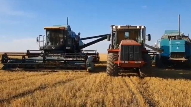 Уборка урожая-2020 возле села Октябрьское и Железнодорожное Карасуский район Костанайская область смотреть онлайн