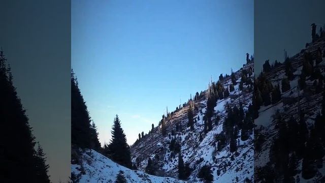 Водопад - горельник или дом лесника.