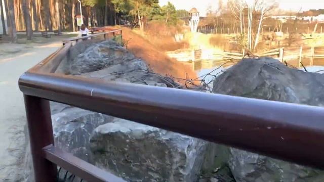 КАК МЫ ХОДИЛИ В ЗООПАРК В ПОЛЬШЕ смотреть онлайн