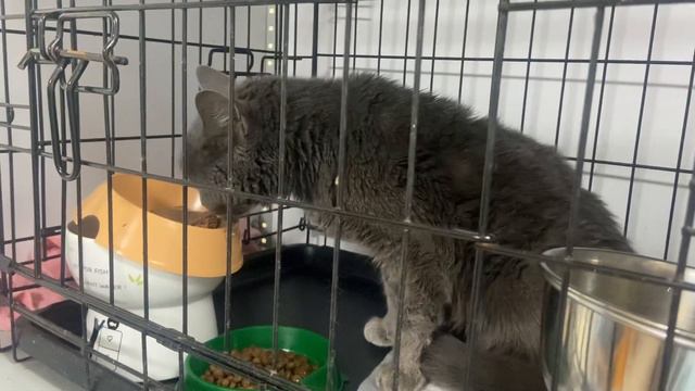 Маруся с онкологией смотреть онлайн