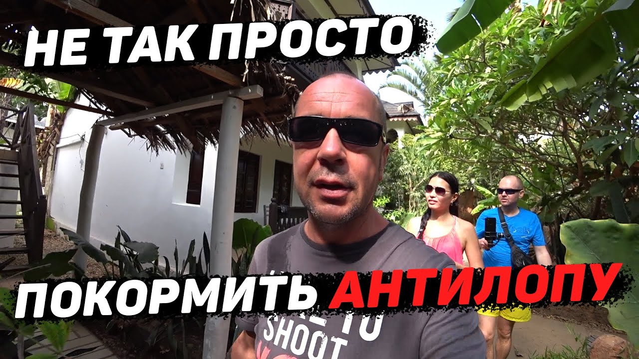 Живем как в Зоопарке. Нунгви. Занзибар 2021 смотреть онлайн