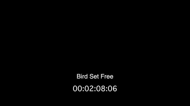 Bird Set Free Instrumental Remake (Lower Key) | AQ