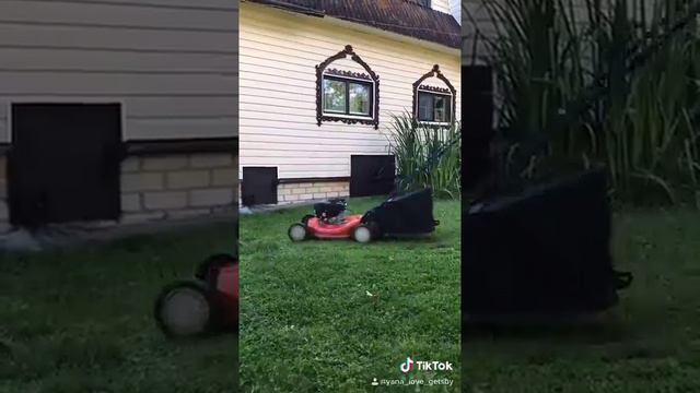 Шпиц на ДАЧЕ КОСИМ ТРАВКУ Газонокосилкой смотреть онлайн