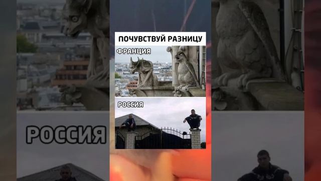 #short #shorts #мем #мемы #прикол #юмор #funny (46) смотреть онлайн