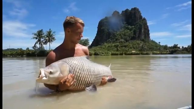 Рыбалка на гигантов в Тайланде. Самый крупный карп. смотреть онлайн