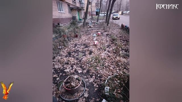 Донецк 3 новогодние подарки✨ #ФениксПобеда смотреть онлайн