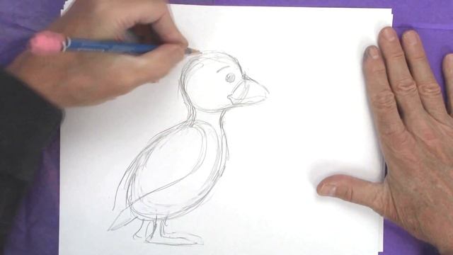 How to Draw a Puffin with Christopher Hart смотреть онлайн