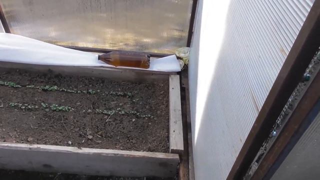 Самый уютный семейный канал !!!