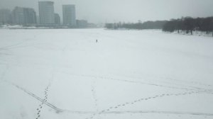 Тушино