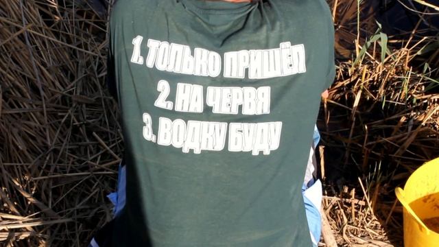Ловля карася на мед! Шикарная рыбалка! смотреть онлайн