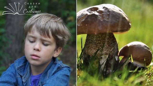 Шустрик и Обжорик | Терапевтическая сказка о важности знаний, а не оценок