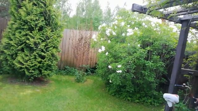 Дачный сезон. Обзор дачного участка смотреть онлайн