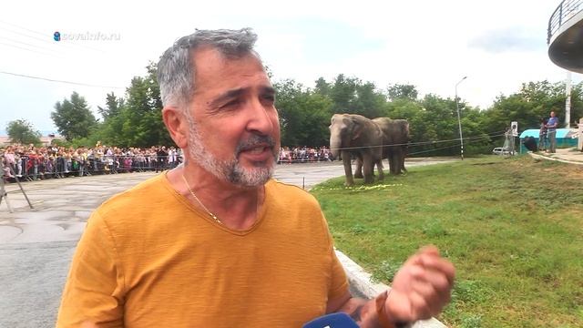 Самарцам показали, как кормят слонов смотреть онлайн