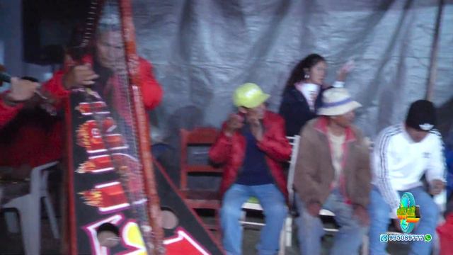 pallas de libertad familia cajaleon pardo en pichgas смотреть онлайн