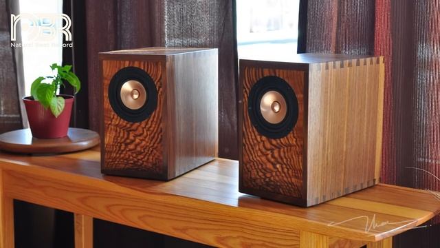 Hi-res Audio 24bit Collection 20201 - High Quality Recording - Audiophile NBR Store