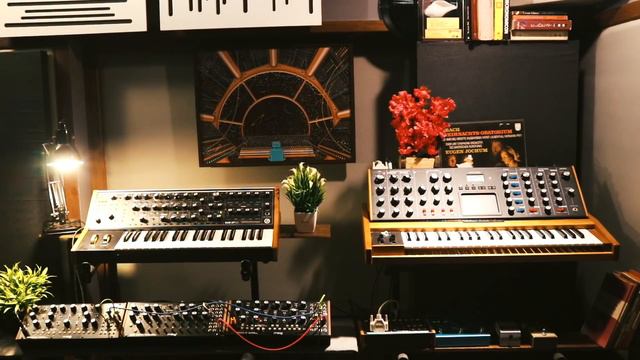 Bach to the future || A Moog symphony смотреть онлайн