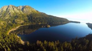 Кошка залезла на гроб на похоронах, а через секунду раздался детский плач!