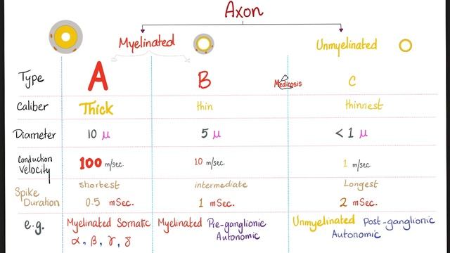 Local Anesthetics and Neuromuscular Blockers _ Anesthesiology.mp4 смотреть онлайн