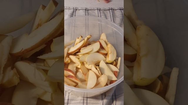 Музыкальная Студия