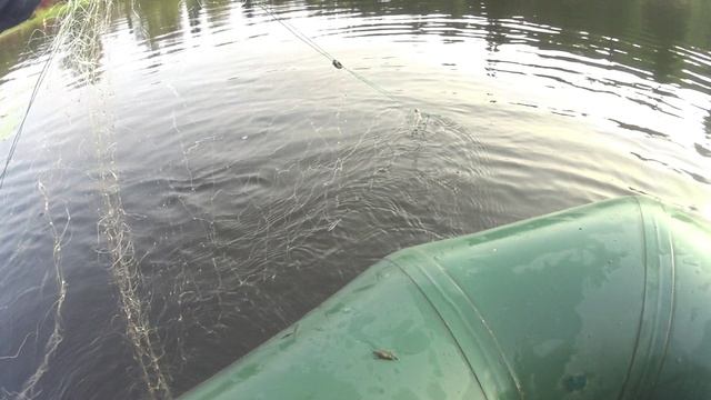 Сеть. Линь, карась