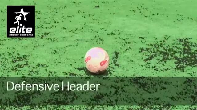 Perfect Model - Defensive Header смотреть онлайн