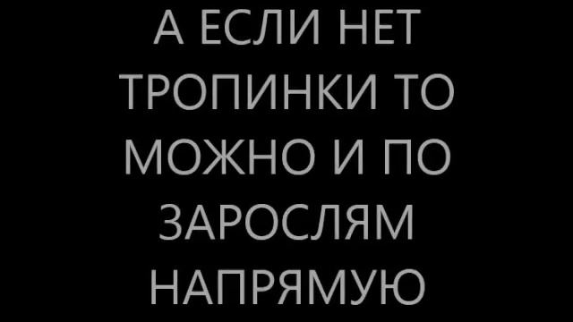 сибирь 2х2 обзорный ролик смотреть онлайн