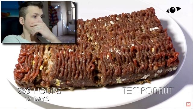 РАЗЛОЖЕНИЕ МЯСА (ТАЙМЛАПС)