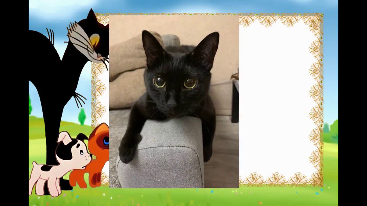 Мой питомец смотреть онлайн