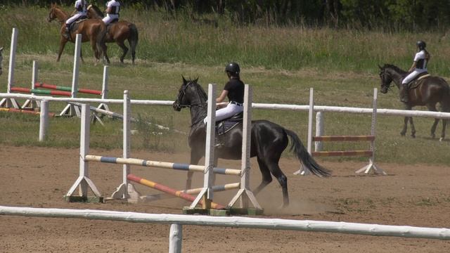 H2320019 смотреть онлайн