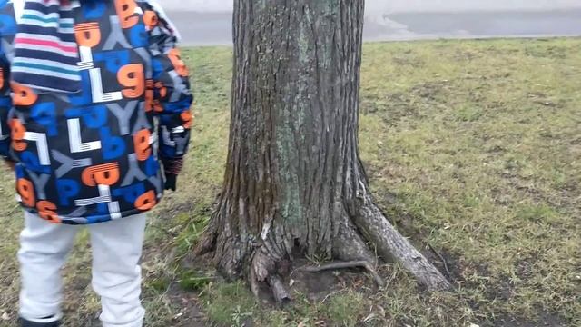 Кормим белку научное наблюдение смотреть онлайн