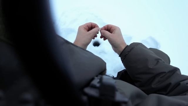 Уехали на рыбалку за трофейными экземплярами.? Зимняя рыбалка! смотреть онлайн