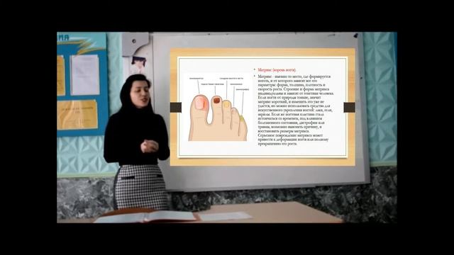 Мастер по маникюру Строение ногтя Игнатик Д Н смотреть онлайн