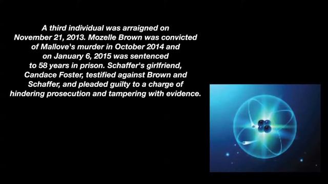 Death of Eugene Mallove | Cold Fusion | Fringe Science | Infinite Energy | New Energy Foundation | смотреть онлайн