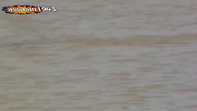 Жестокий бой крокодилов смотреть онлайн