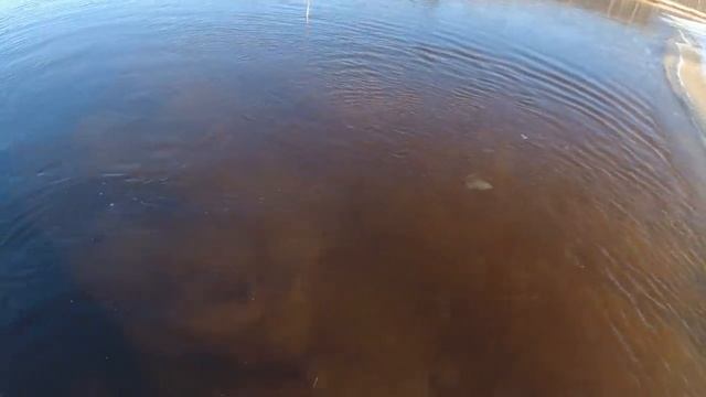 Мороз, Снег и Первый Лёд! Закрываем Сезон 2021 Рыбалки На Налима На Открытой Воде! смотреть онлайн