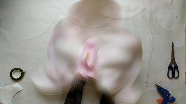 Мастер - Класс "Ростовая ветка Орхидеи" смотреть онлайн