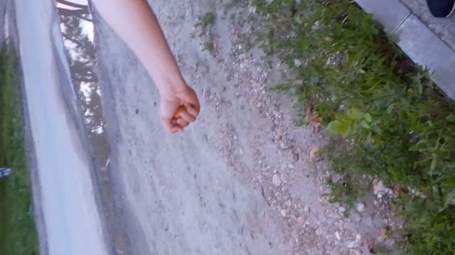 Глупый стереотип ,что нельзя раздавить яйцо смотреть онлайн