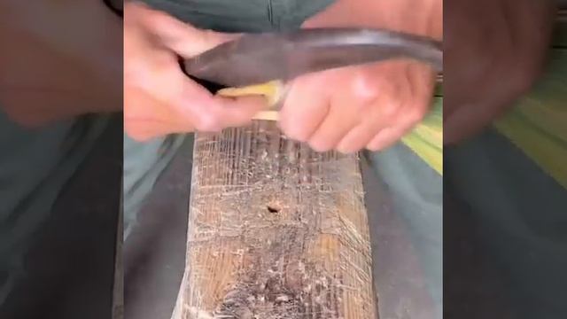 Веник из бамбука #Shorts | очень залипательное странное видео смотреть онлайн